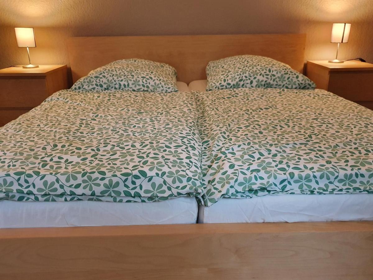 דיסבורג Grosse Ferienwohnung An Der Rheinpromenade Three מראה חיצוני תמונה
